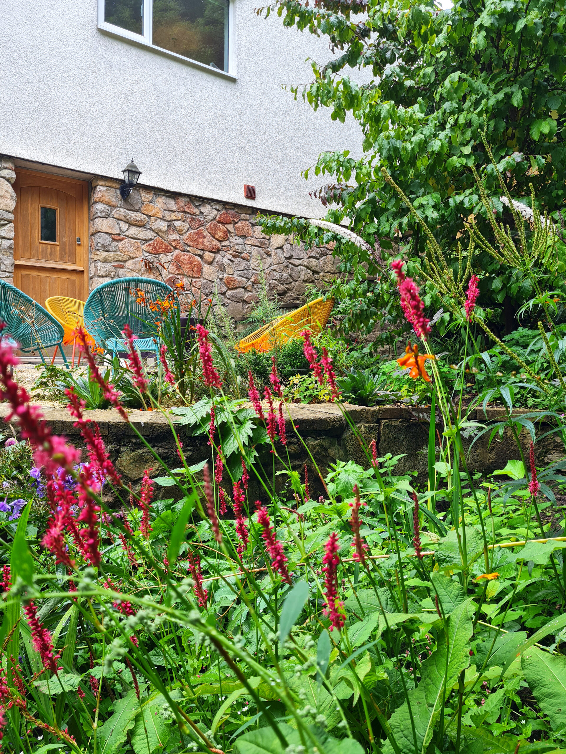 Hillside Garden