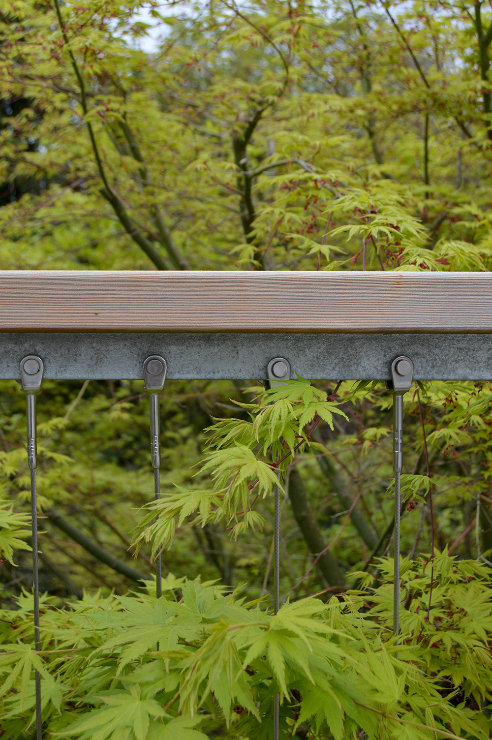 bristol hillside garden design cantilevered deck treetops