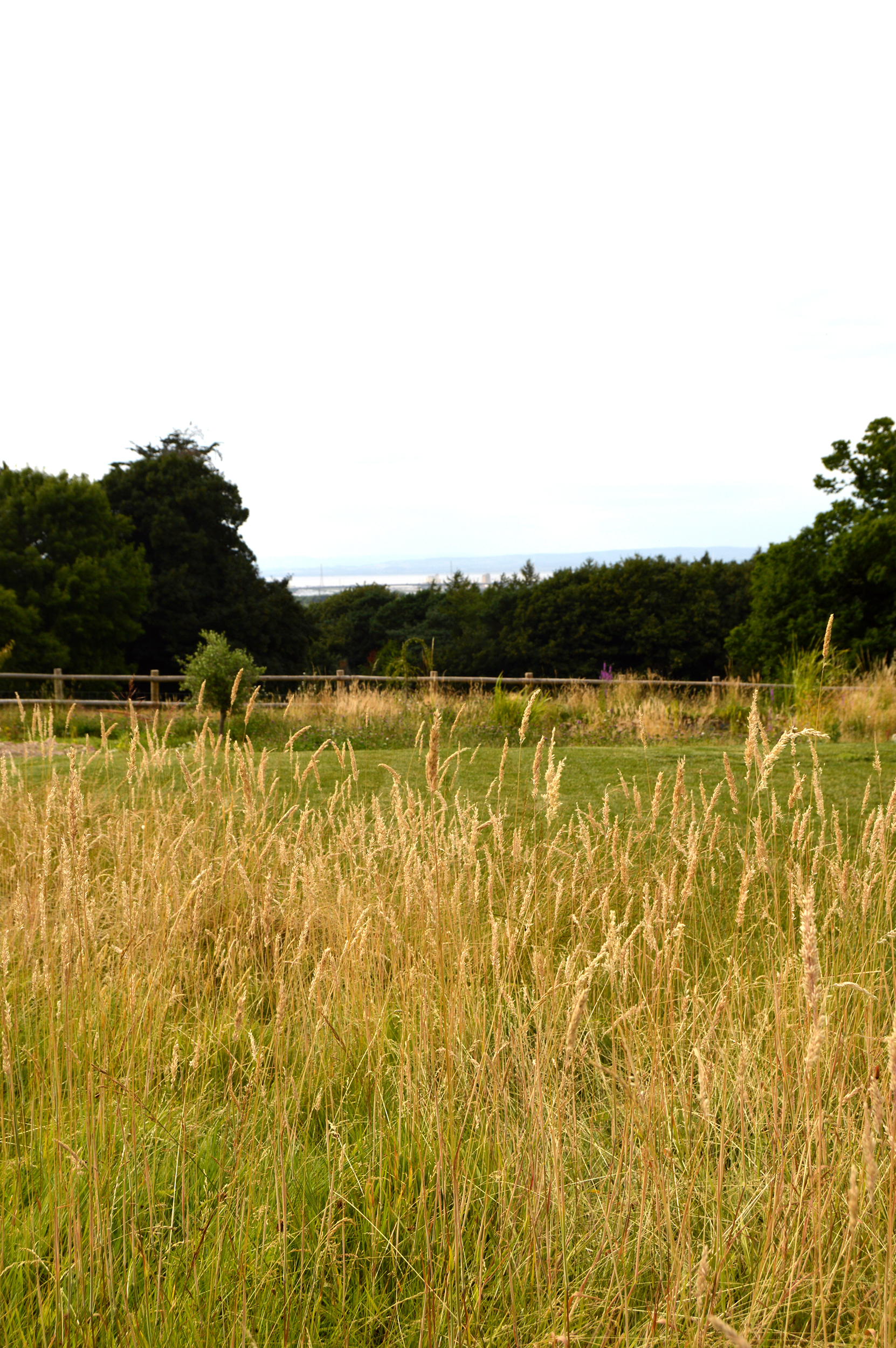 Somerset country house garden meadow view