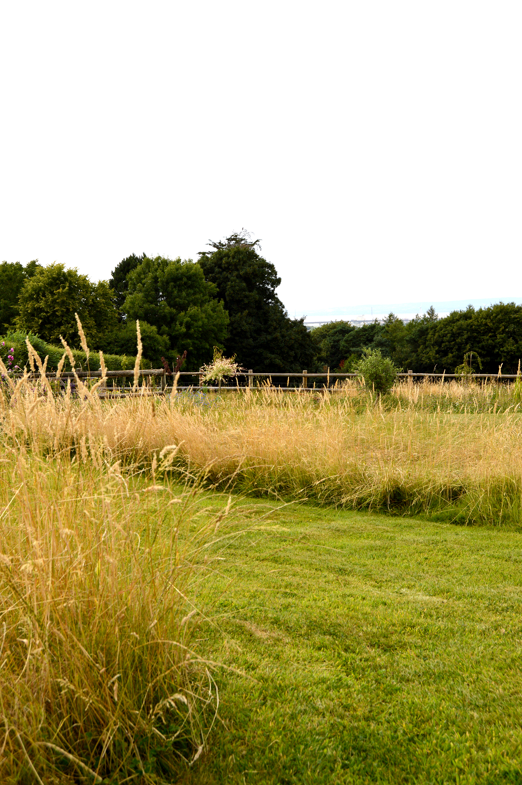 Somerset country house garden meadow