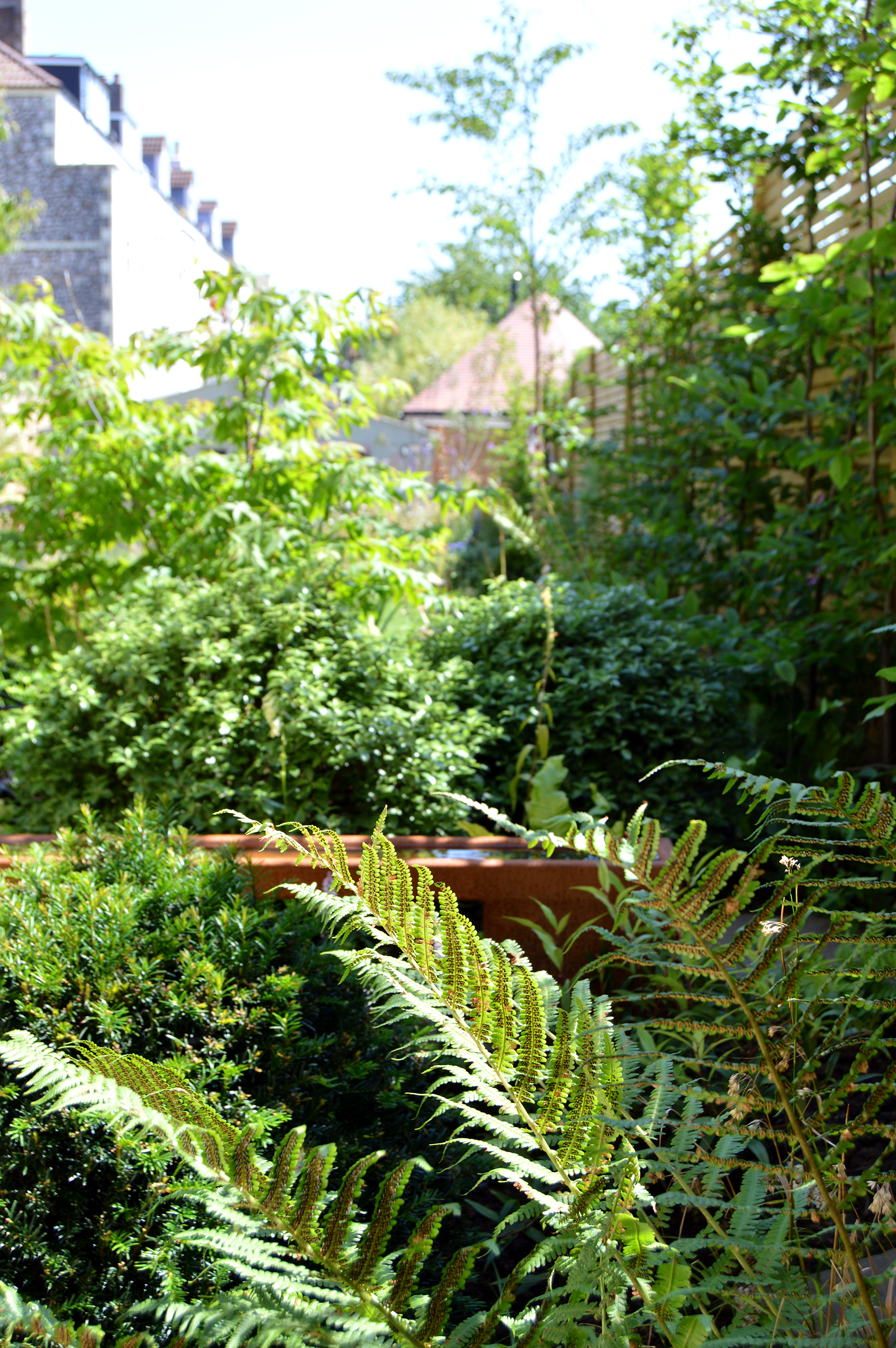 small Bristol front garden courtyard path view
