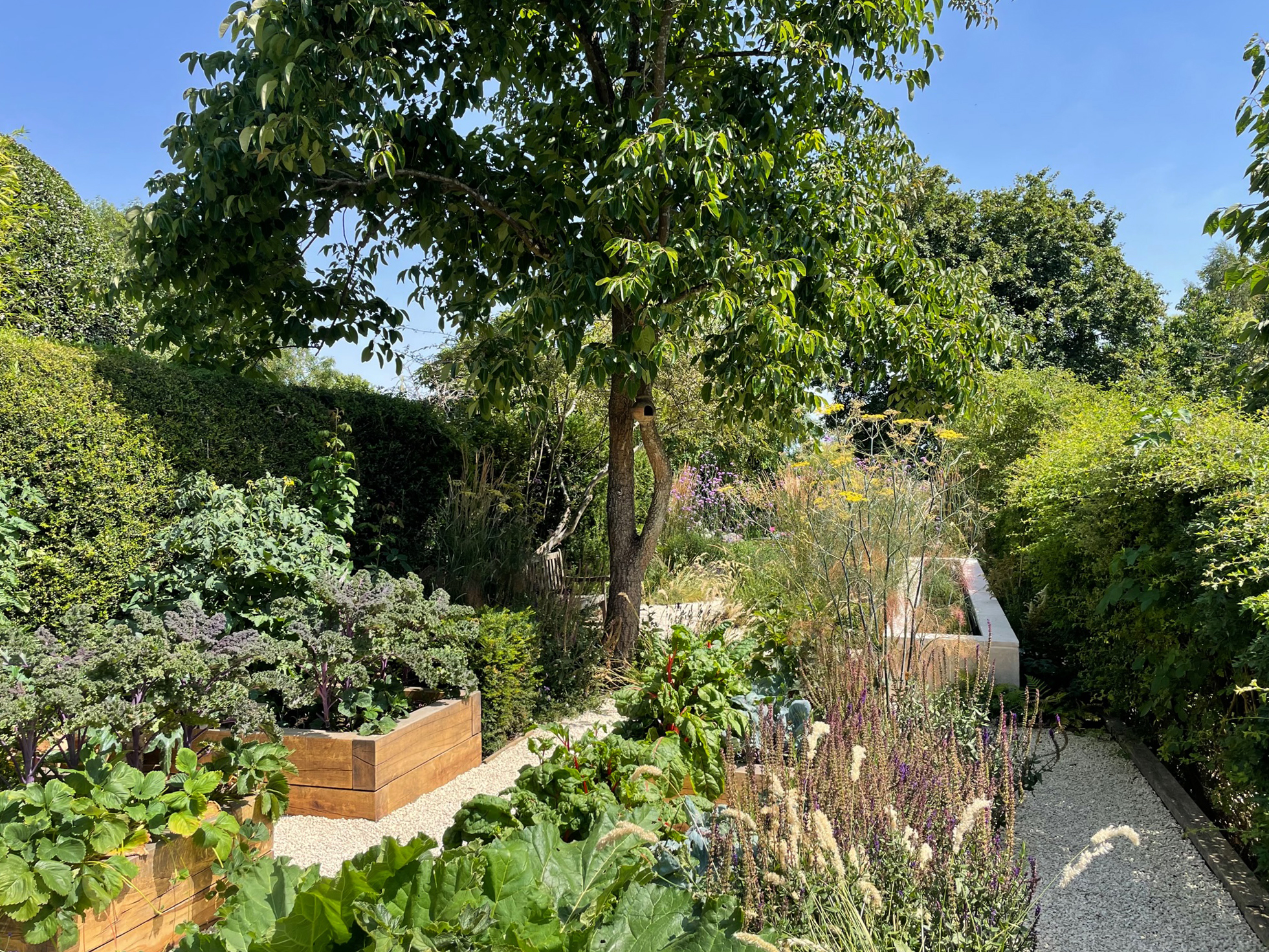 narrow urban rill garden with veg beds