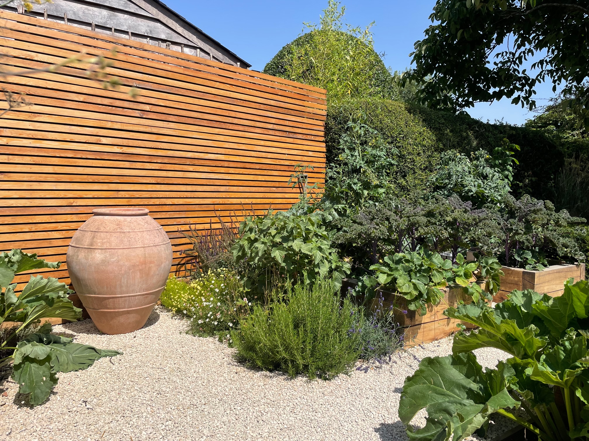 narrow urban rill garden with gravel garden