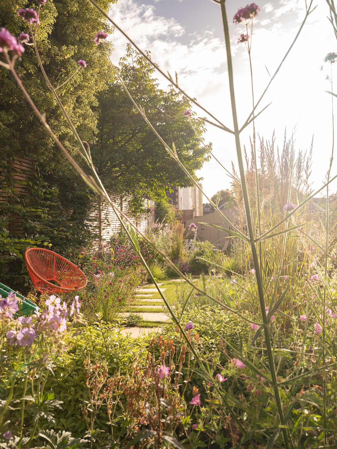 immersive planting and stepping stone path