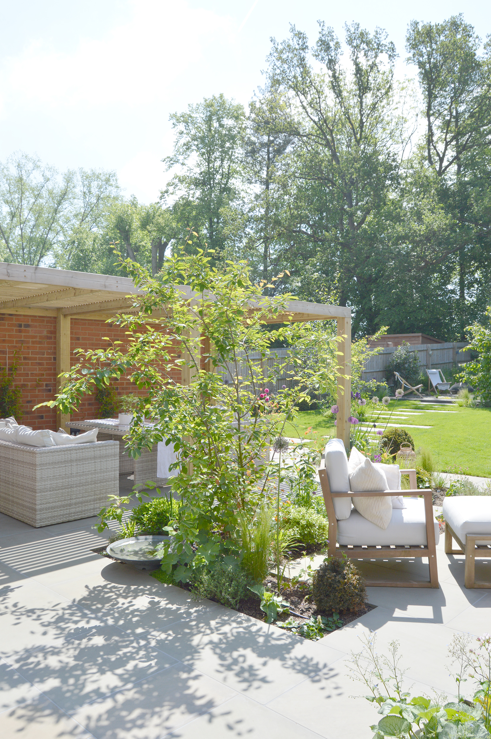 pergola and amelanchier lamarckii tree