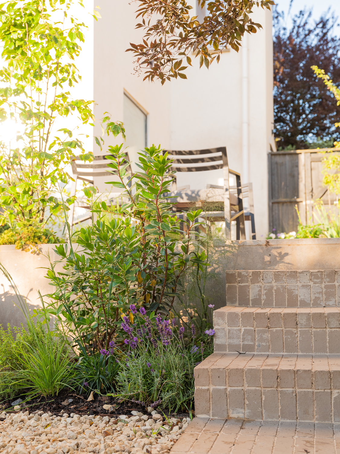 clay paver steps and planting