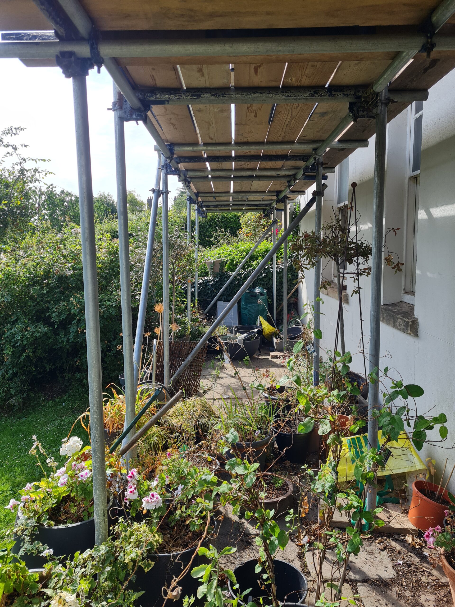 terraced garden before