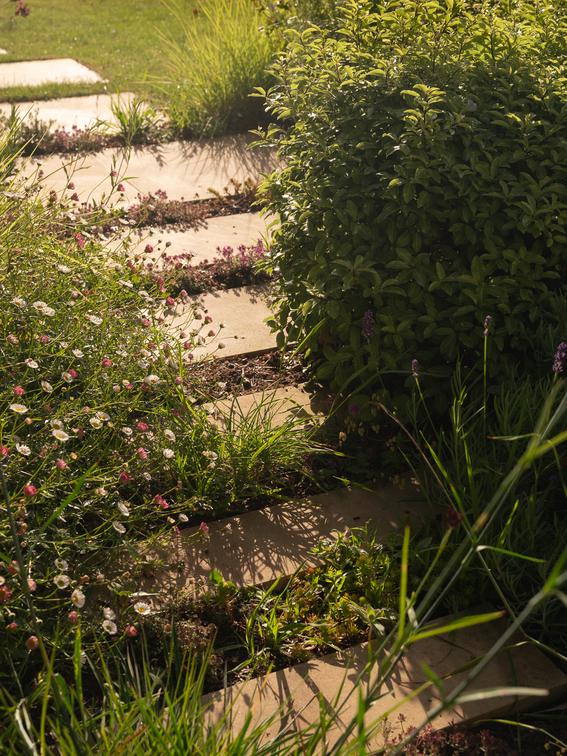 stepping stone pathway