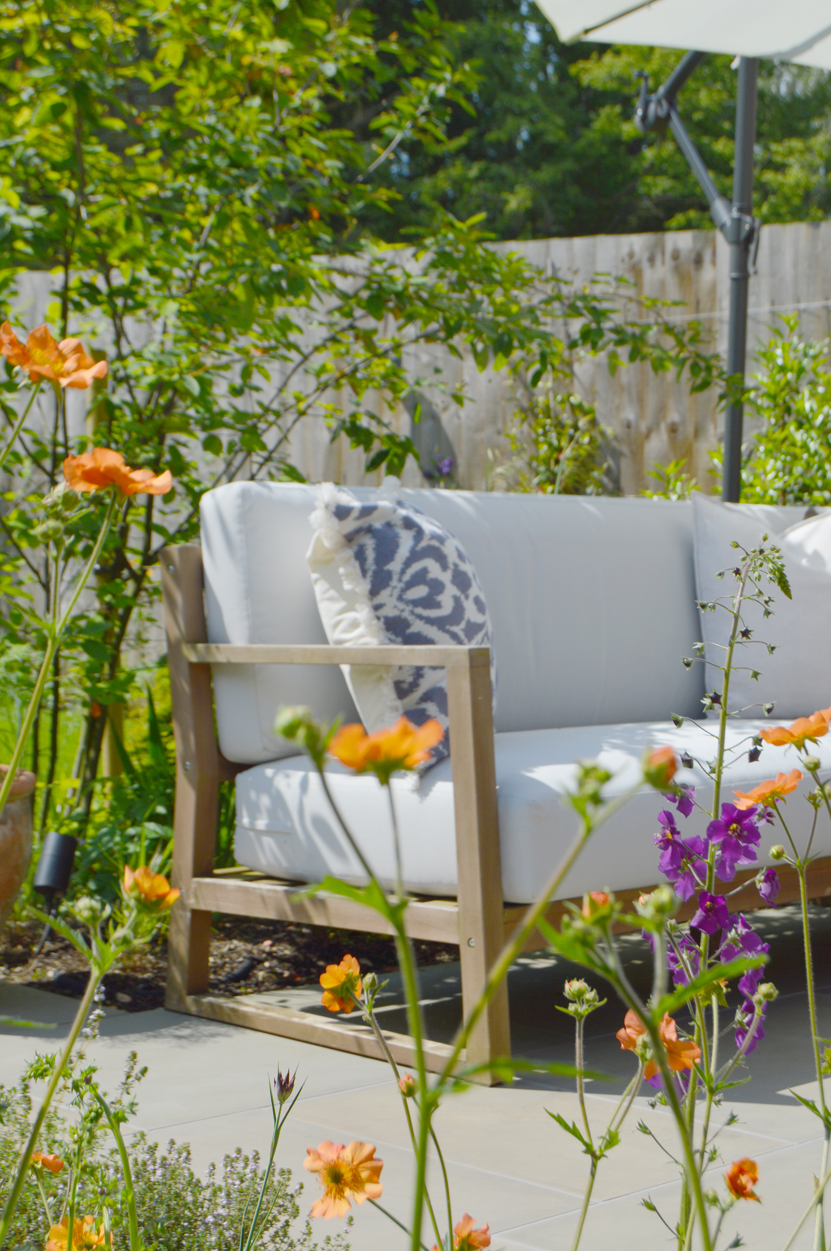 geums and verbascum