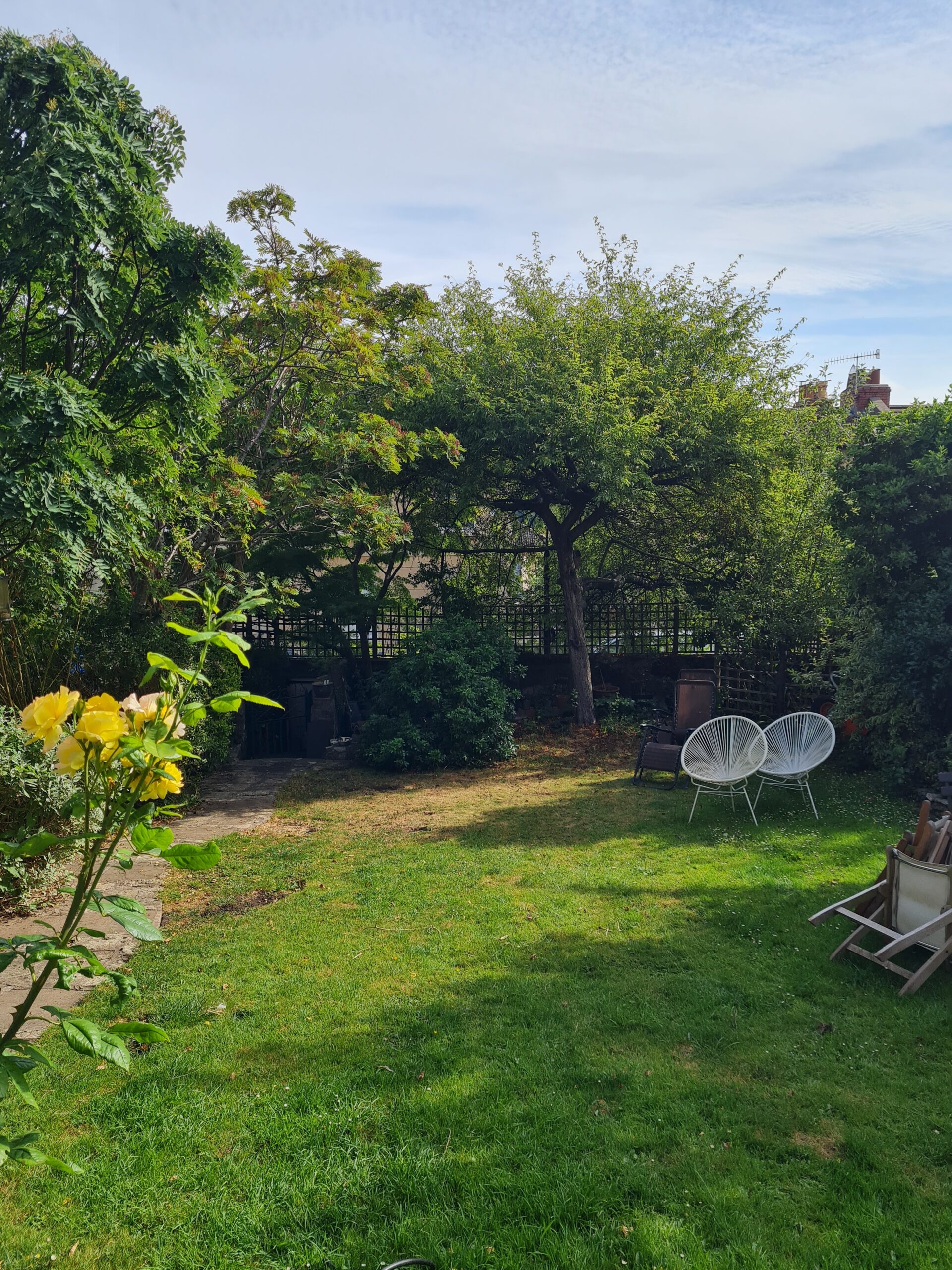 terraced garden before