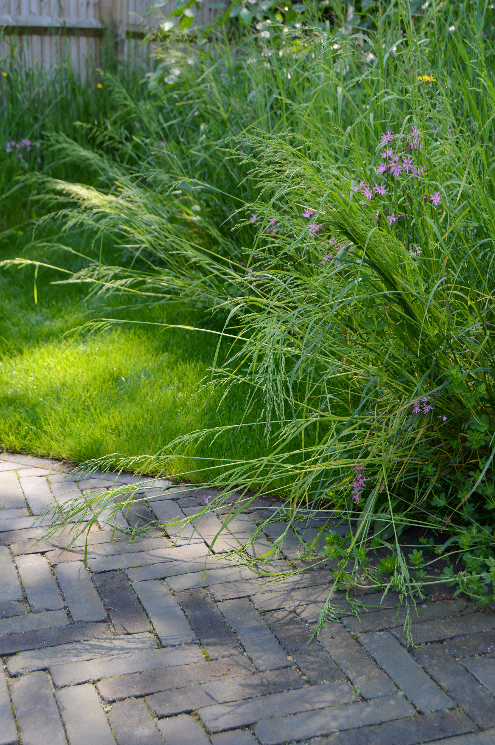 clay paver terrace into meadow path