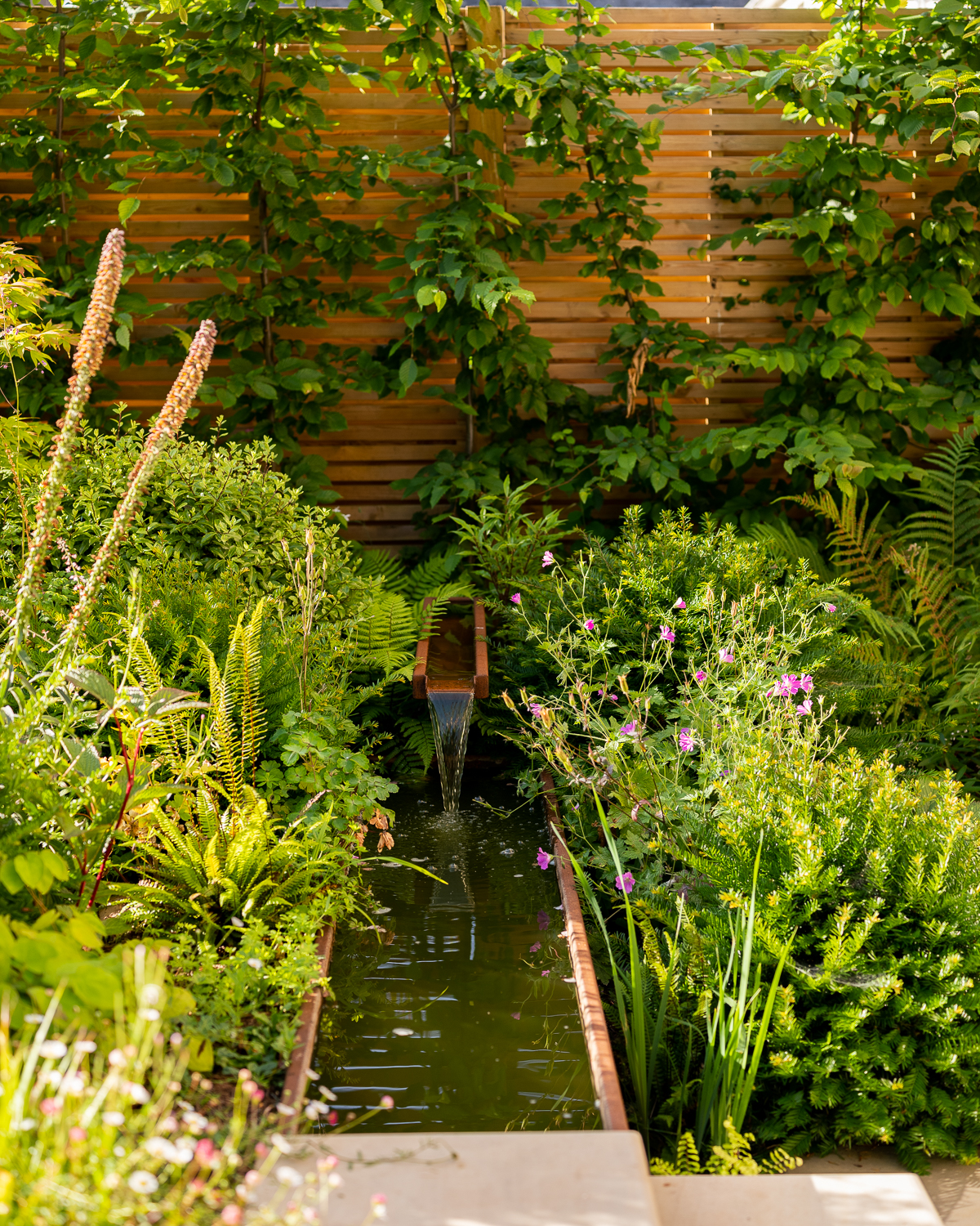 corten rill and planting