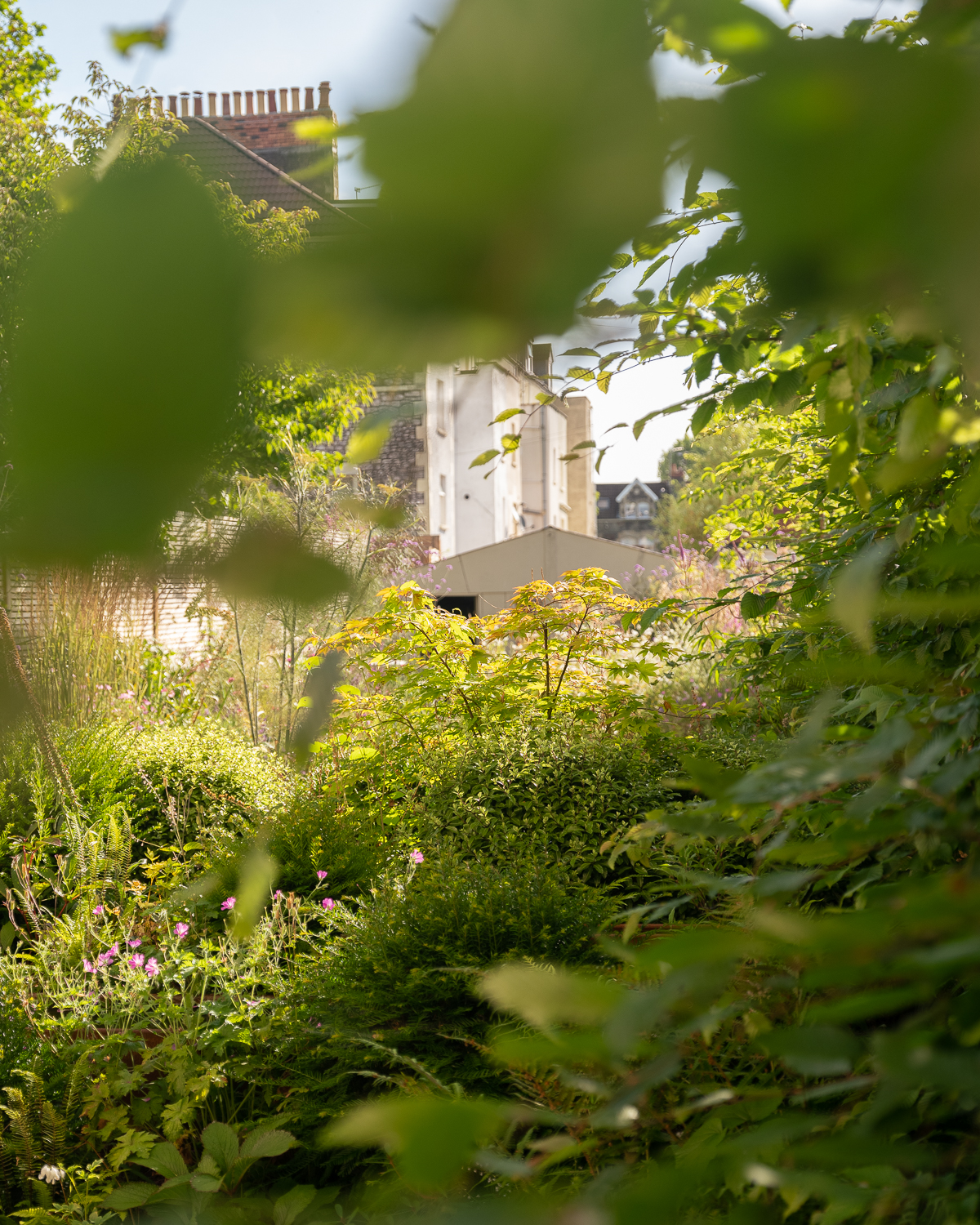 immersive family garden