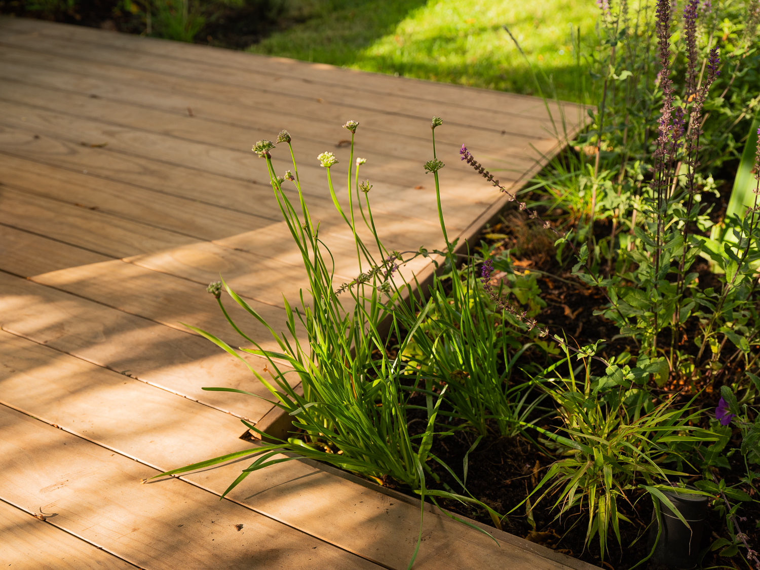 deck and planting