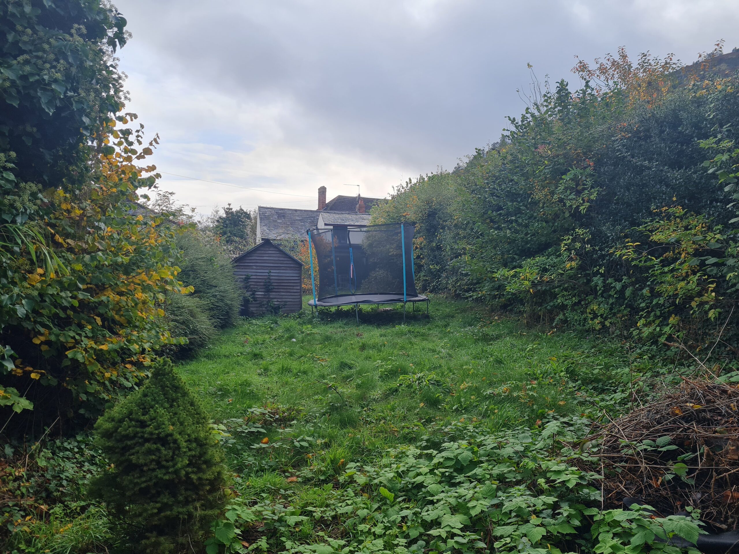 terraced garden before