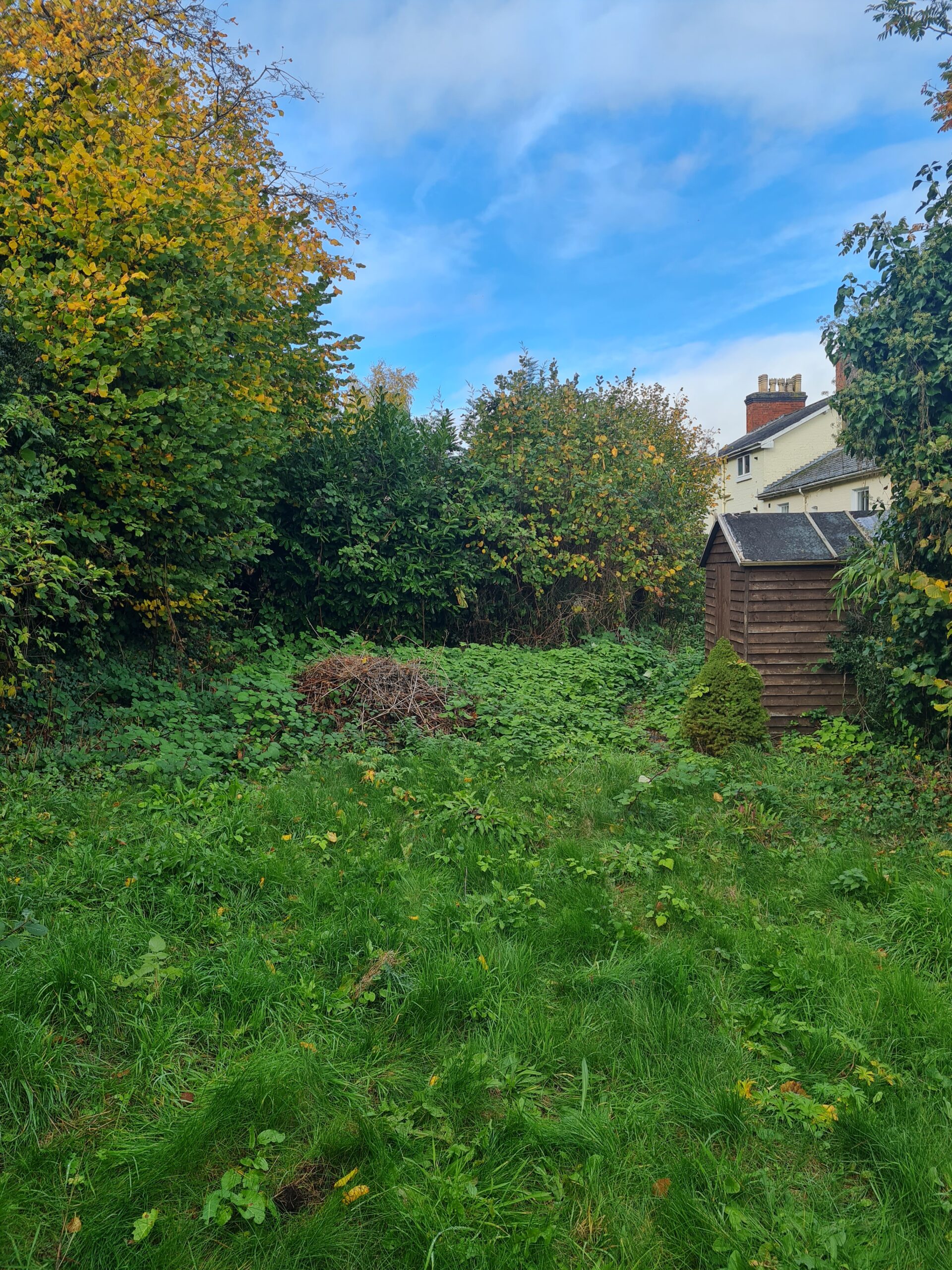 terraced garden before