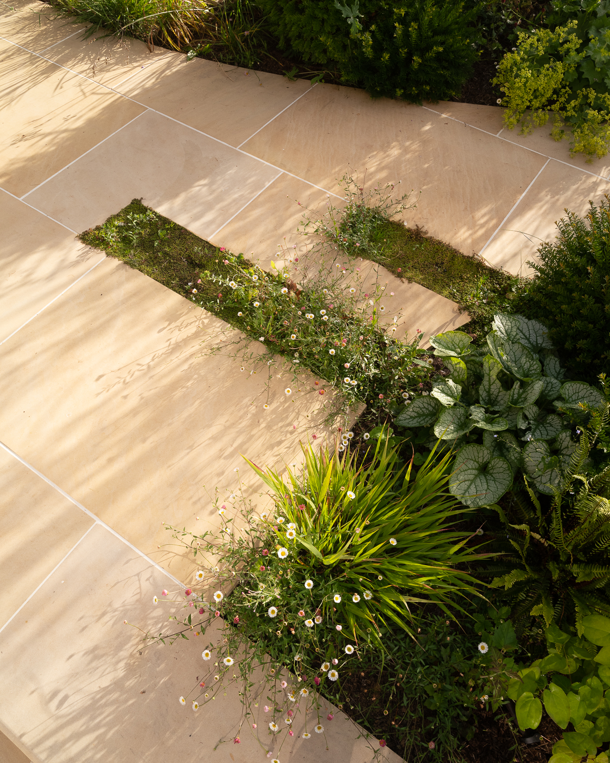 planting detail through paving